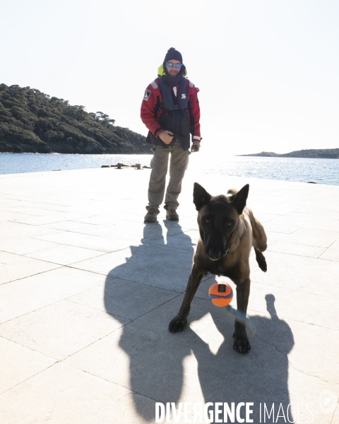 Newt, chien de détection