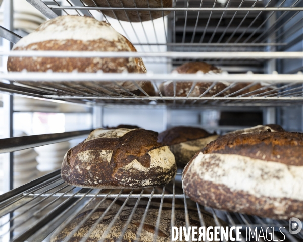 Ecole Internationale de Boulangerie