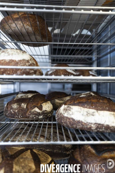 Ecole Internationale de Boulangerie