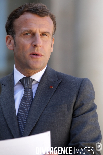 Emmanuel Macron recoit le president allemand