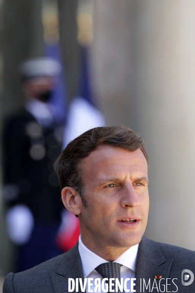 Emmanuel Macron recoit le president allemand