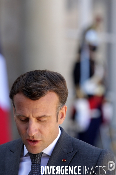 Emmanuel Macron recoit le president allemand