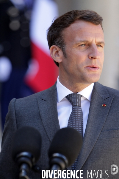 Emmanuel Macron recoit le president allemand