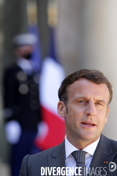 Emmanuel Macron recoit le president allemand