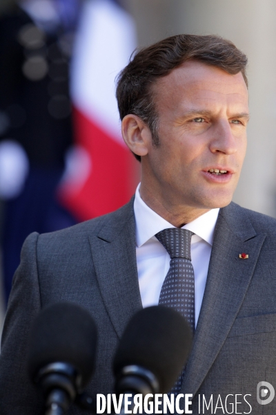 Emmanuel Macron recoit le president allemand