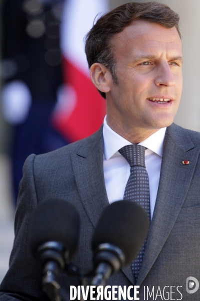 Emmanuel Macron recoit le president allemand