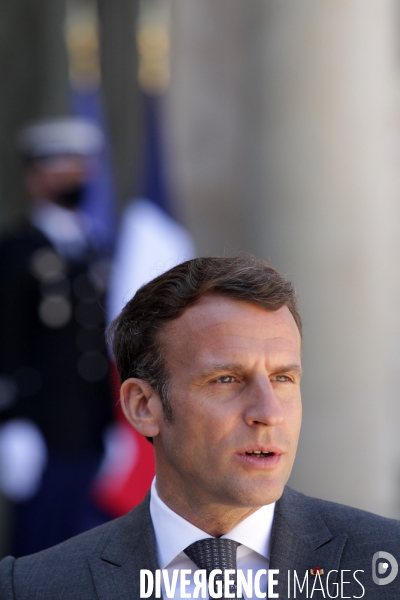 Emmanuel Macron recoit le president allemand