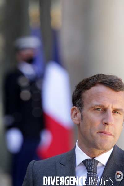 Emmanuel Macron recoit le president allemand