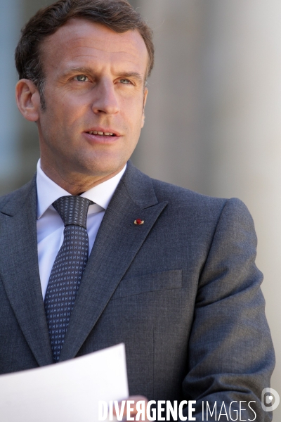 Emmanuel Macron recoit le president allemand