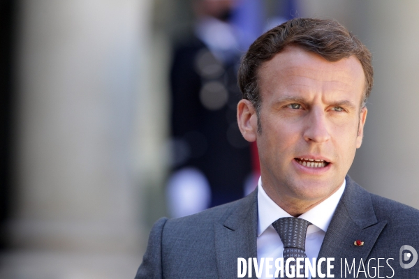 Emmanuel Macron recoit le president allemand