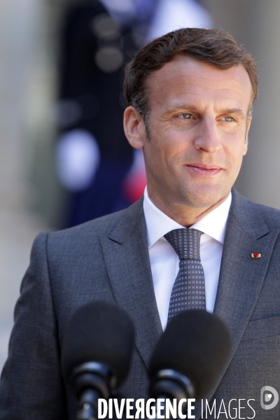 Emmanuel Macron recoit le president allemand