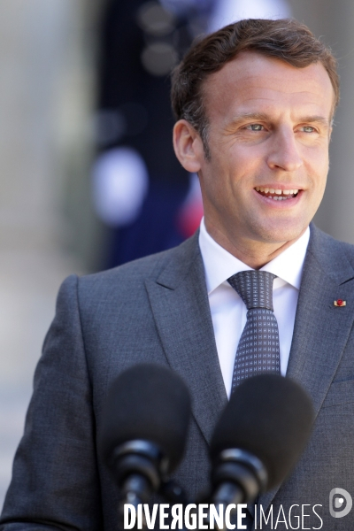 Emmanuel Macron recoit le president allemand