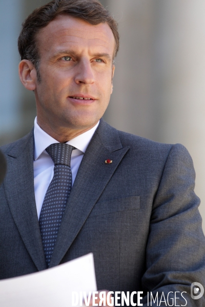 Emmanuel Macron recoit le president allemand