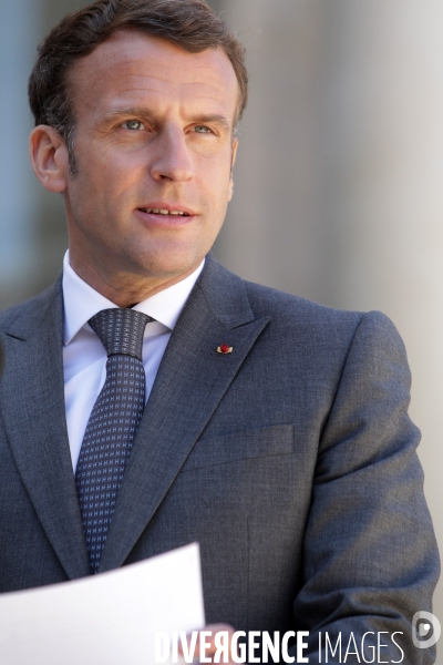 Emmanuel Macron recoit le president allemand