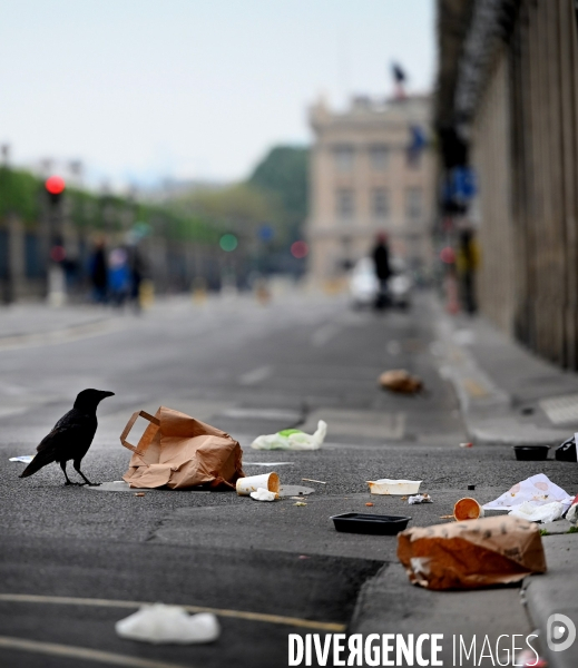 Détritus sur la voie publique
