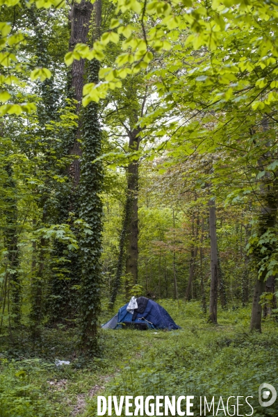 Les tentes du bois de vincennes