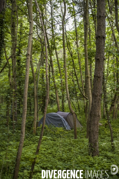 Les tentes du bois de vincennes