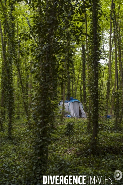 Les tentes du bois de vincennes