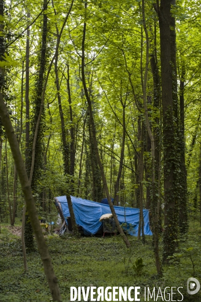 Les tentes du bois de vincennes