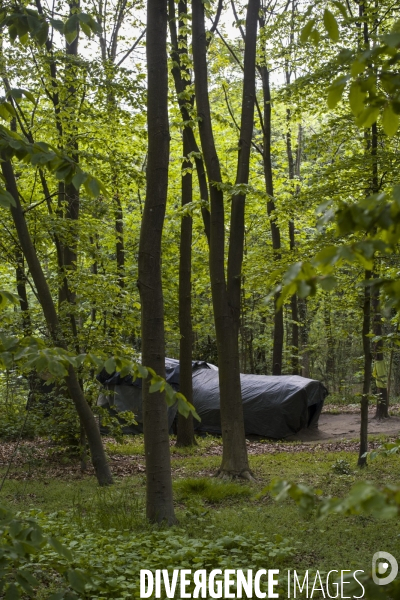 Les tentes du bois de vincennes