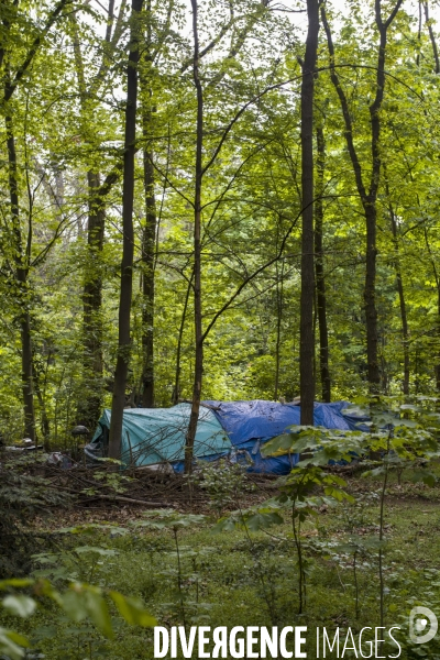 Les tentes du bois de vincennes