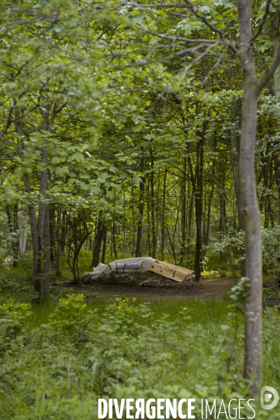 Les tentes du bois de vincennes