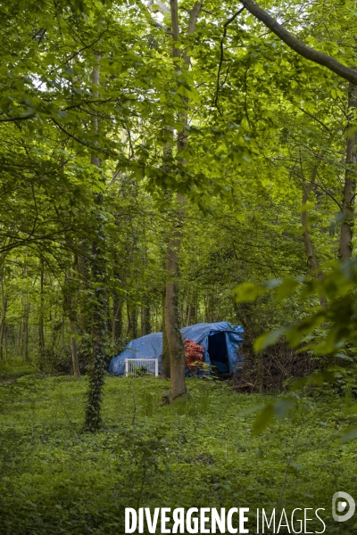 Les tentes du bois de vincennes