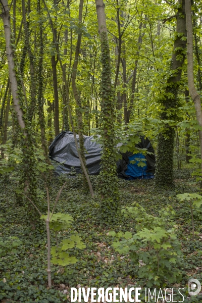 Les tentes du bois de vincennes