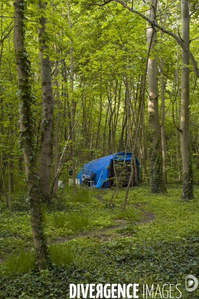 Les tentes du bois de vincennes