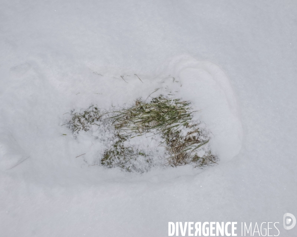 Transbassealpine Digne-Nice fin d hiver 2021