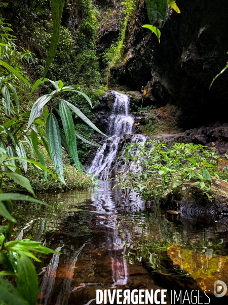 Illustration Ile de La Reunion