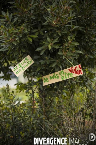 Mobilisation contre la disparition de jardins partages a aubervilliers.