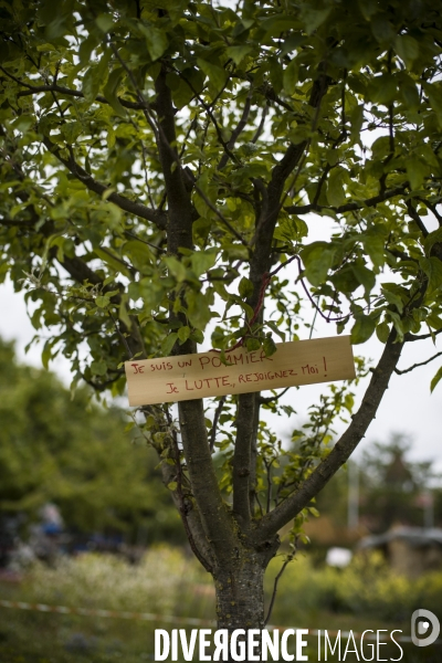 Mobilisation contre la disparition de jardins partages a aubervilliers.