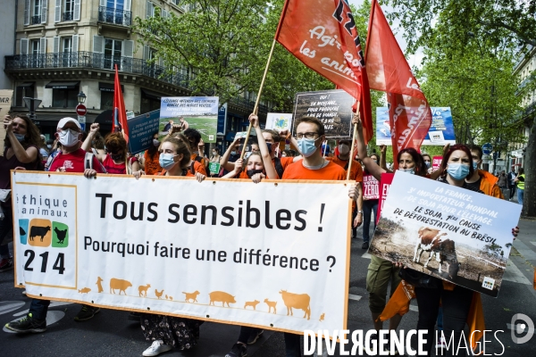 Marche pour le climat.