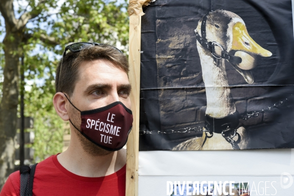 Marche pour le climat 2021, le 9 mai à Paris. Walk for the climate.