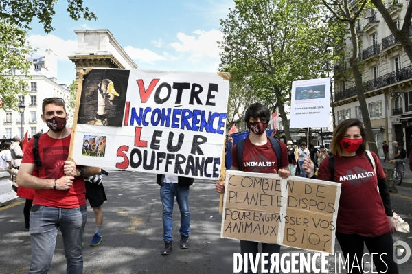 Marche pour le climat 2021, le 9 mai à Paris. Walk for the climate.