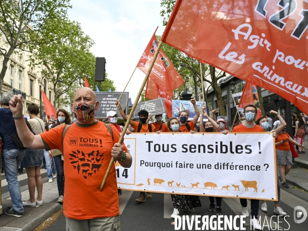 Marche pour le climat 2021, le 9 mai à Paris. Walk for the climate.