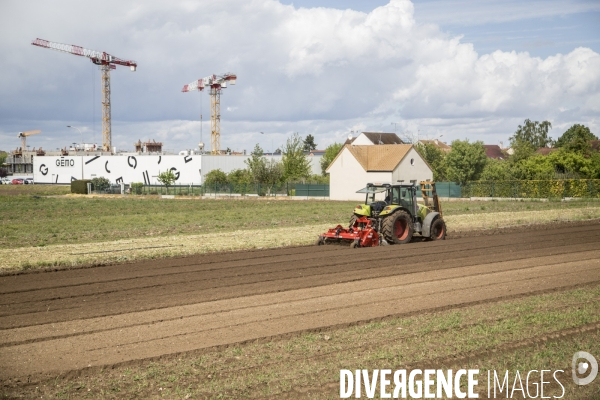 Balade en Yvelines 05052021