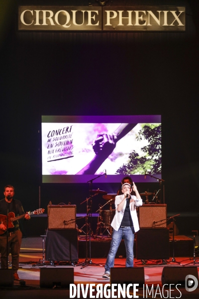 Concert du chanteur HK
