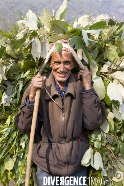 Nepal