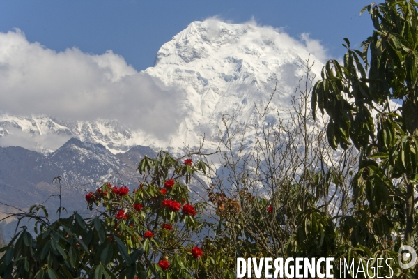 Nepal