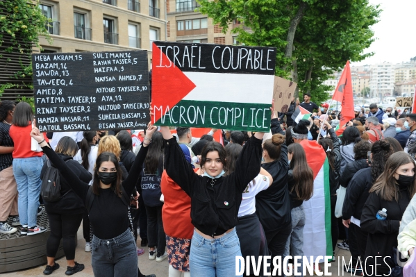 Manisfestation pour la Palestine