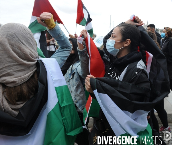 Manisfestation pour la Palestine