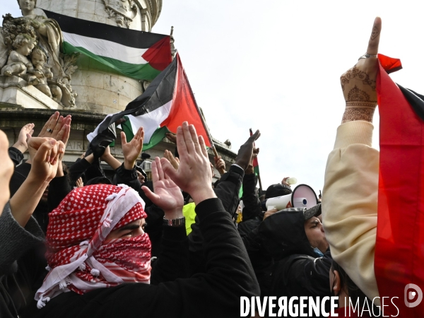 Manifestation interdite en soutien à la Palestine, à Paris. Demonstration for the Palestinians in Paris.