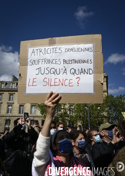 Manifestation interdite en soutien à la Palestine, à Paris. Demonstration for the Palestinians in Paris.