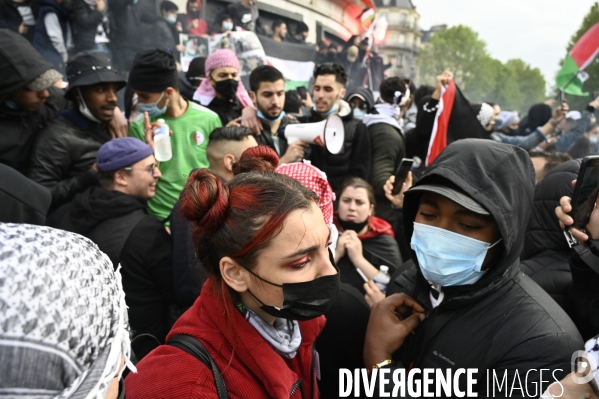 Manifestation interdite en soutien à la Palestine, à Paris. Demonstration for the Palestinians in Paris.