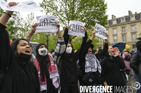 Manifestation interdite en soutien à la Palestine, à Paris. Demonstration for the Palestinians in Paris.