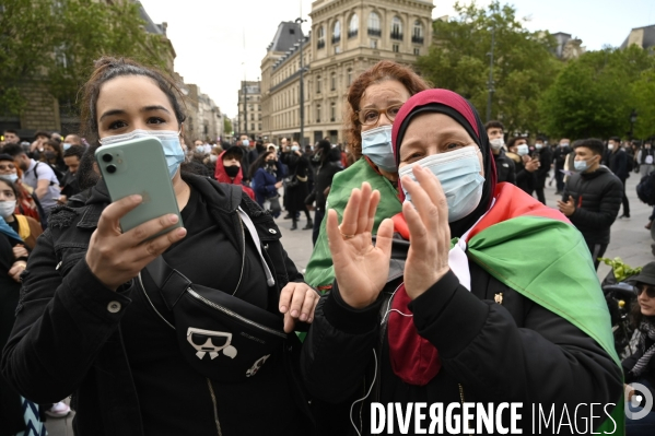 Manifestation interdite en soutien à la Palestine, à Paris. Demonstration for the Palestinians in Paris.