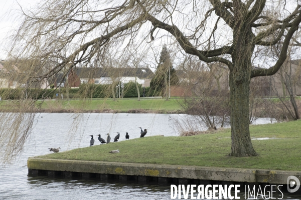 Grande-Synthe, commune à la périphérie de Dunkerque