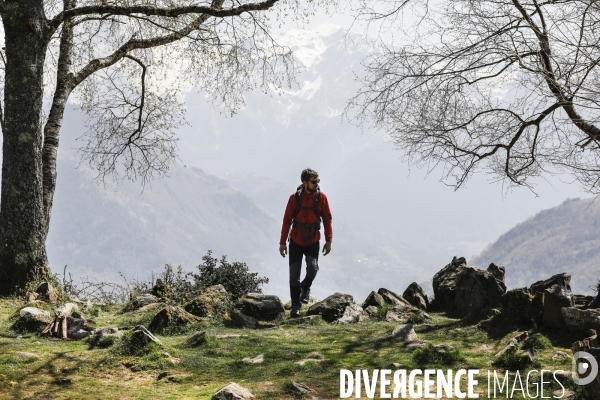 La vallée d OSSAU dans les Pyrénées